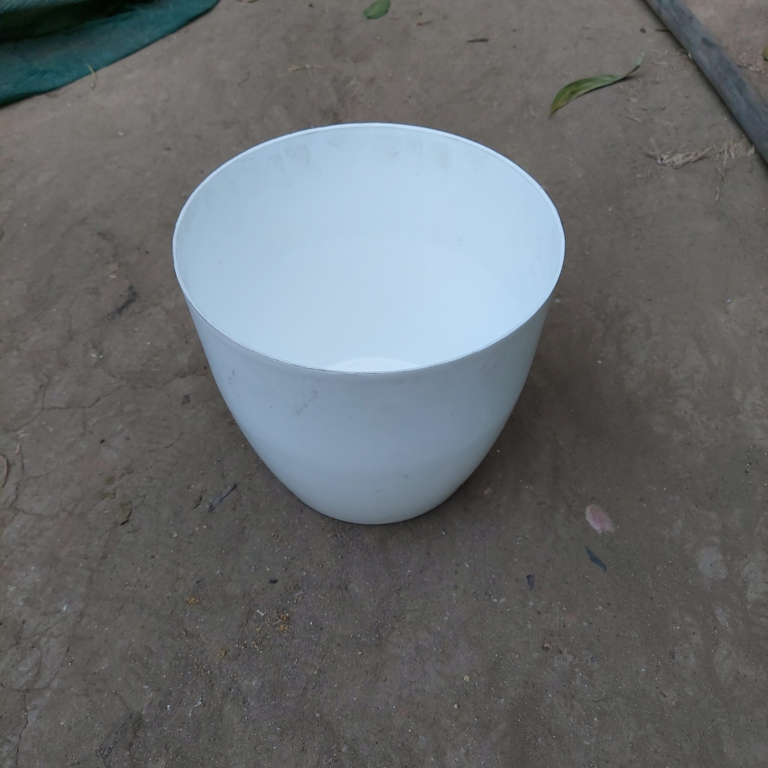 20241205 155143 20241205 155143