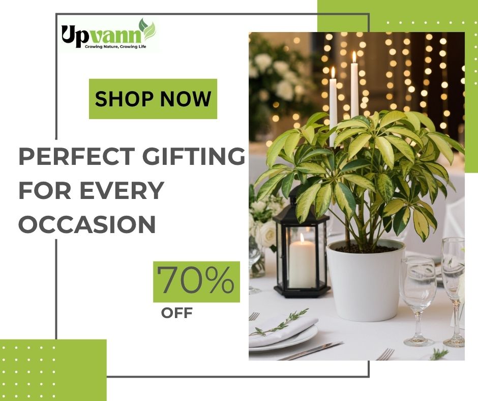 gifting for your love once (1)