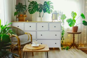 Home Bright living room featuring a white cabinet, woven chair, and lush indoor plants for a serene atmosphere.