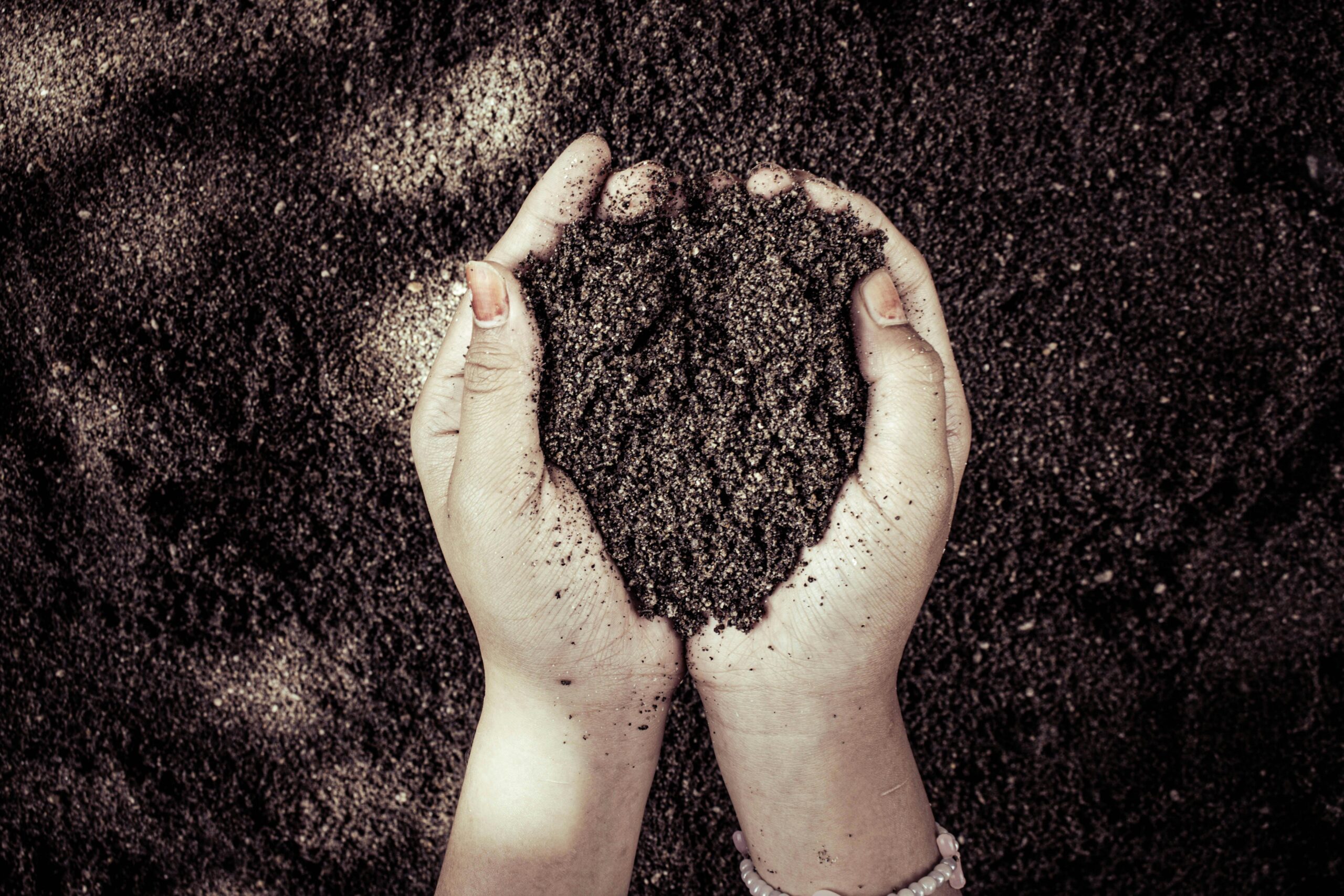 Two hands cupping dark soil, symbolizing nature and growth.